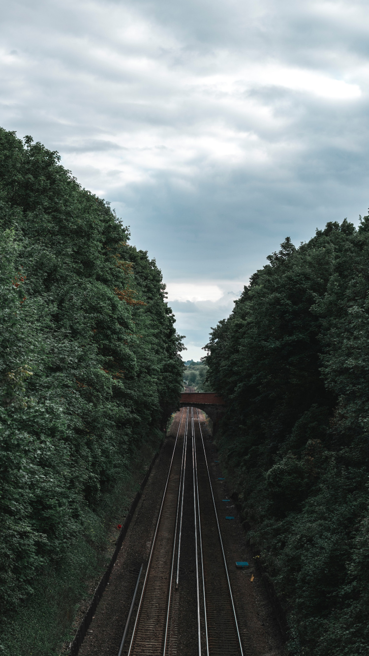 Rail Transport, Railway, Track, Transport, Tree. Wallpaper in 750x1334 Resolution