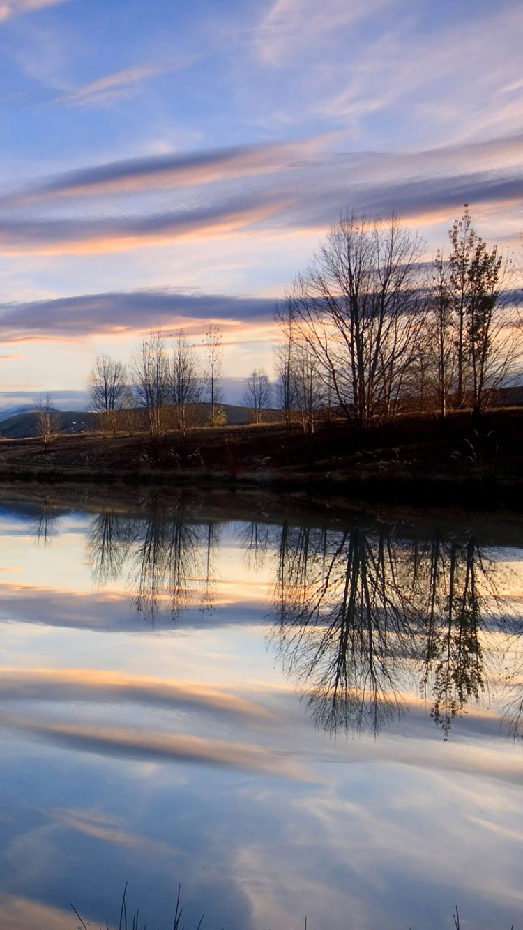 Body of Water Near Trees During Daytime. Wallpaper in 750x1334 Resolution