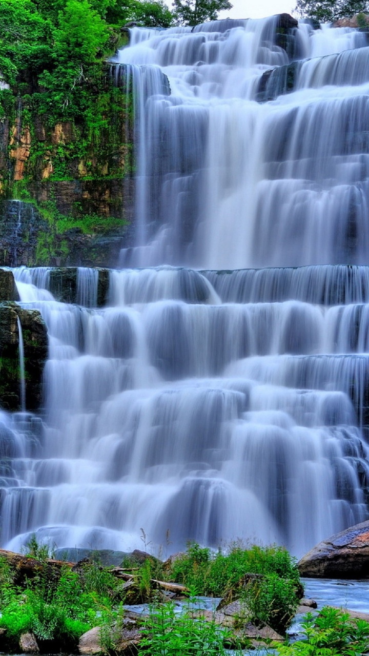 el Agua Cae en el Bosque. Wallpaper in 720x1280 Resolution