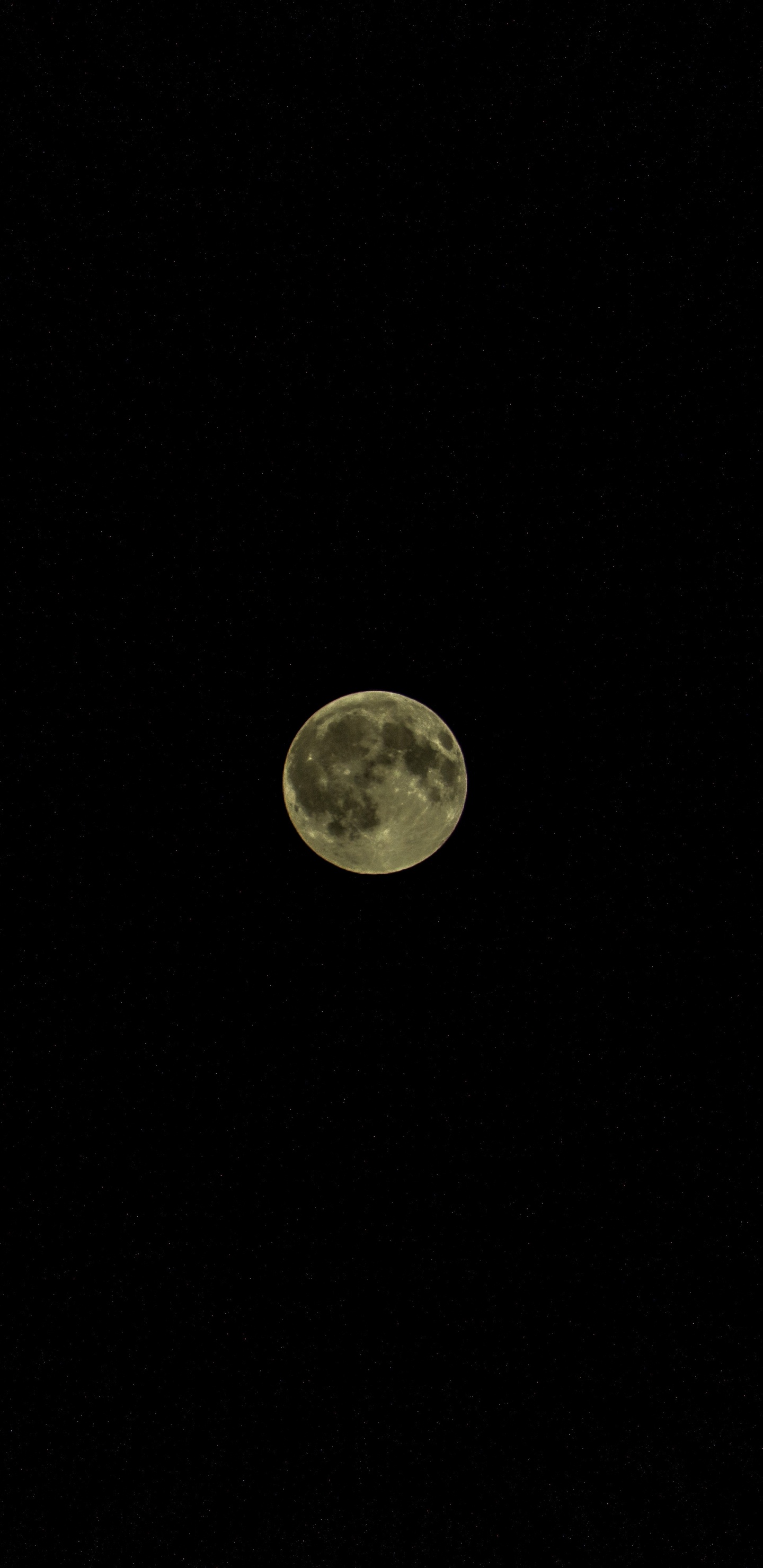 Luna Llena en el Cielo Nocturno. Wallpaper in 1440x2960 Resolution