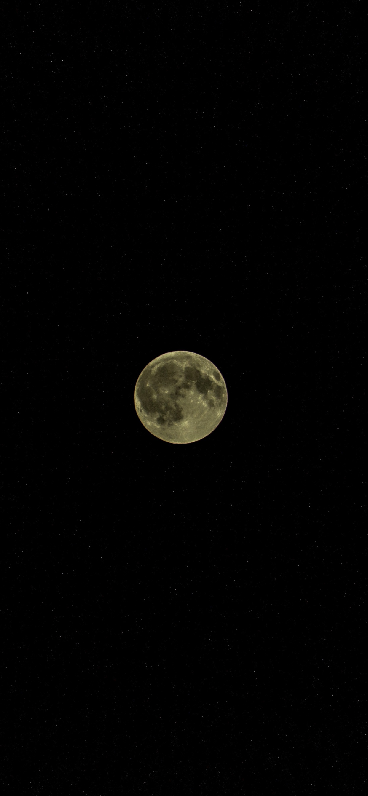 Full Moon in The Night Sky. Wallpaper in 1242x2688 Resolution
