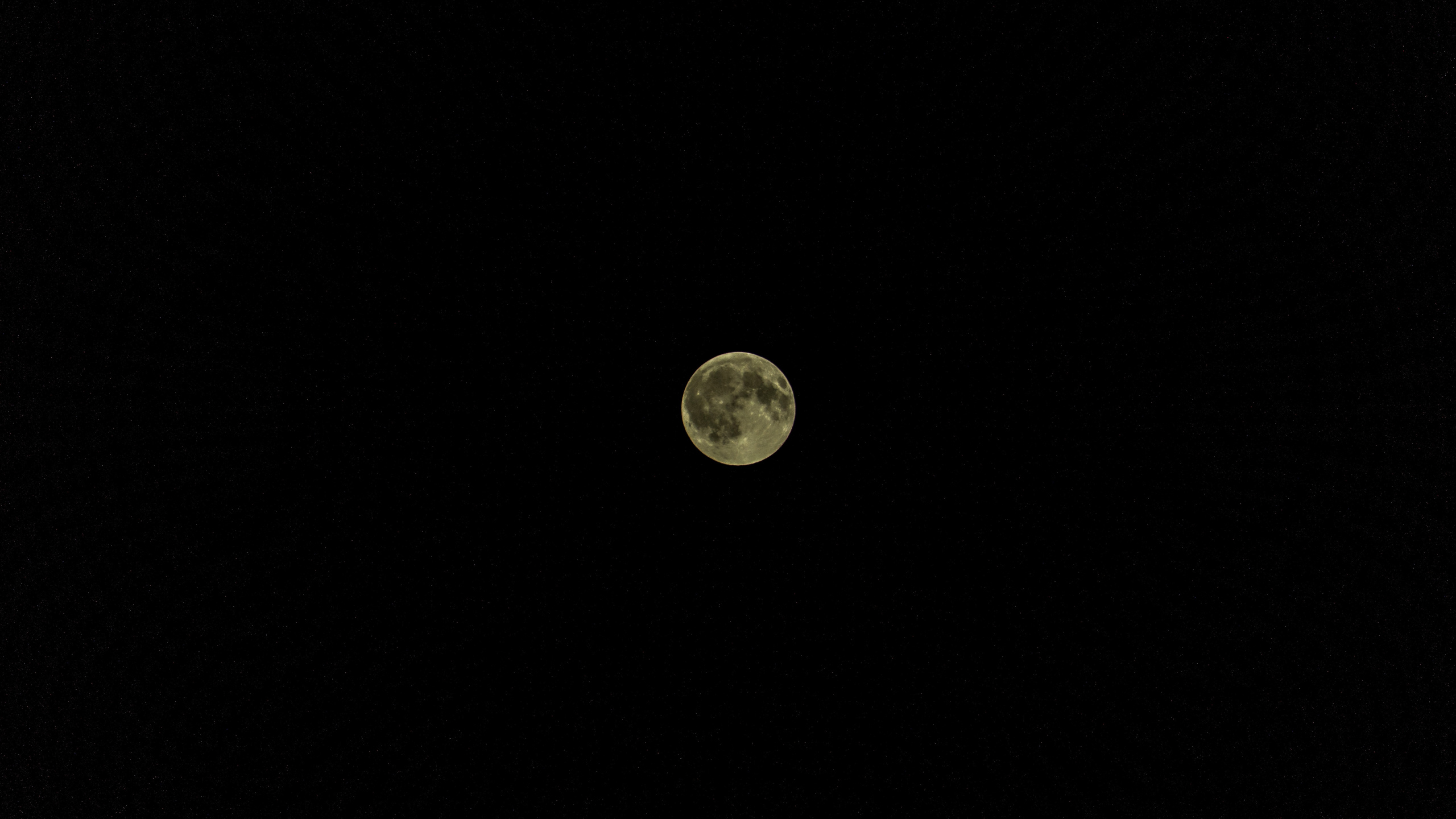 Full Moon in The Night Sky. Wallpaper in 2560x1440 Resolution
