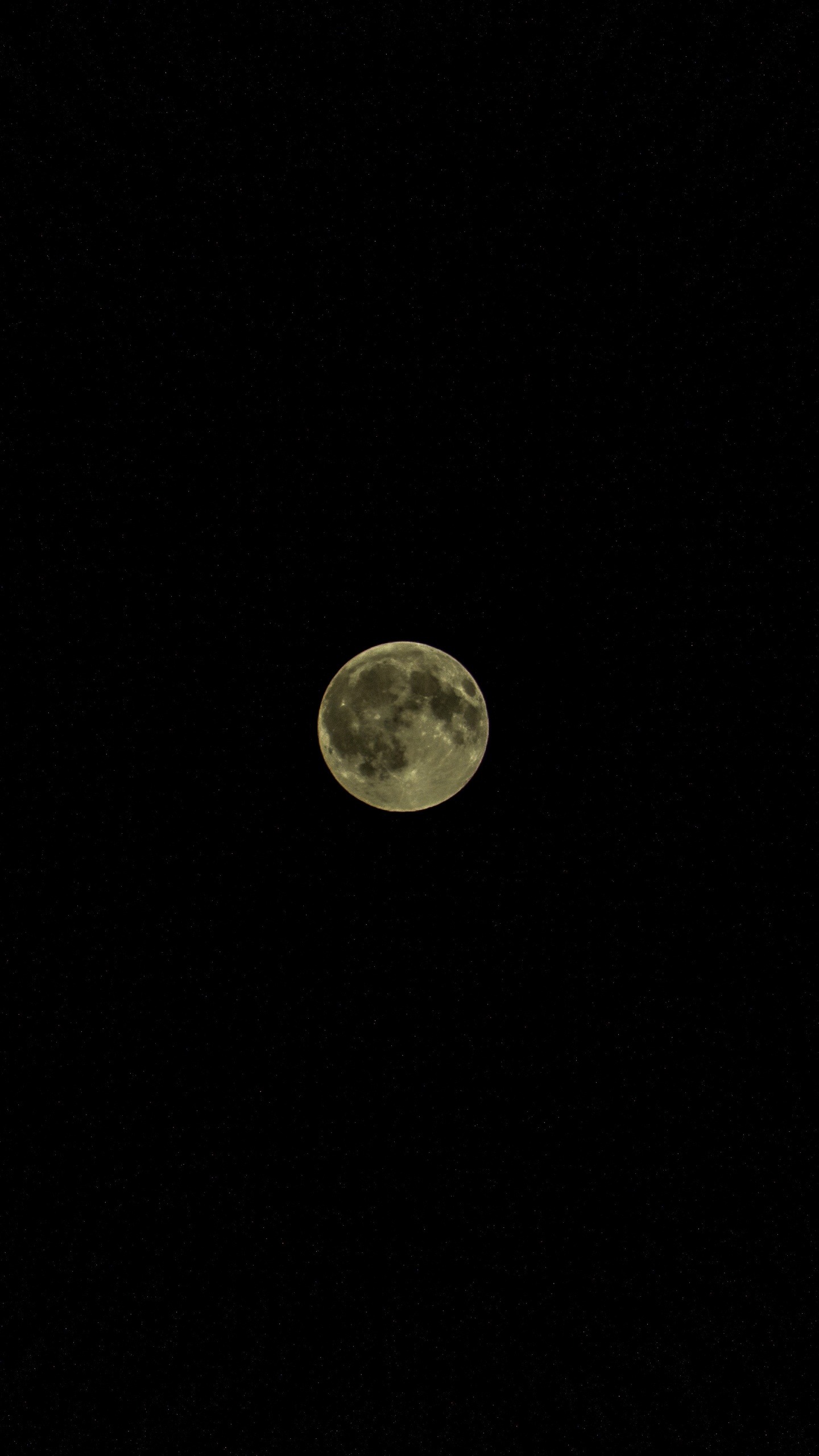 Vollmond am Nachthimmel. Wallpaper in 1440x2560 Resolution