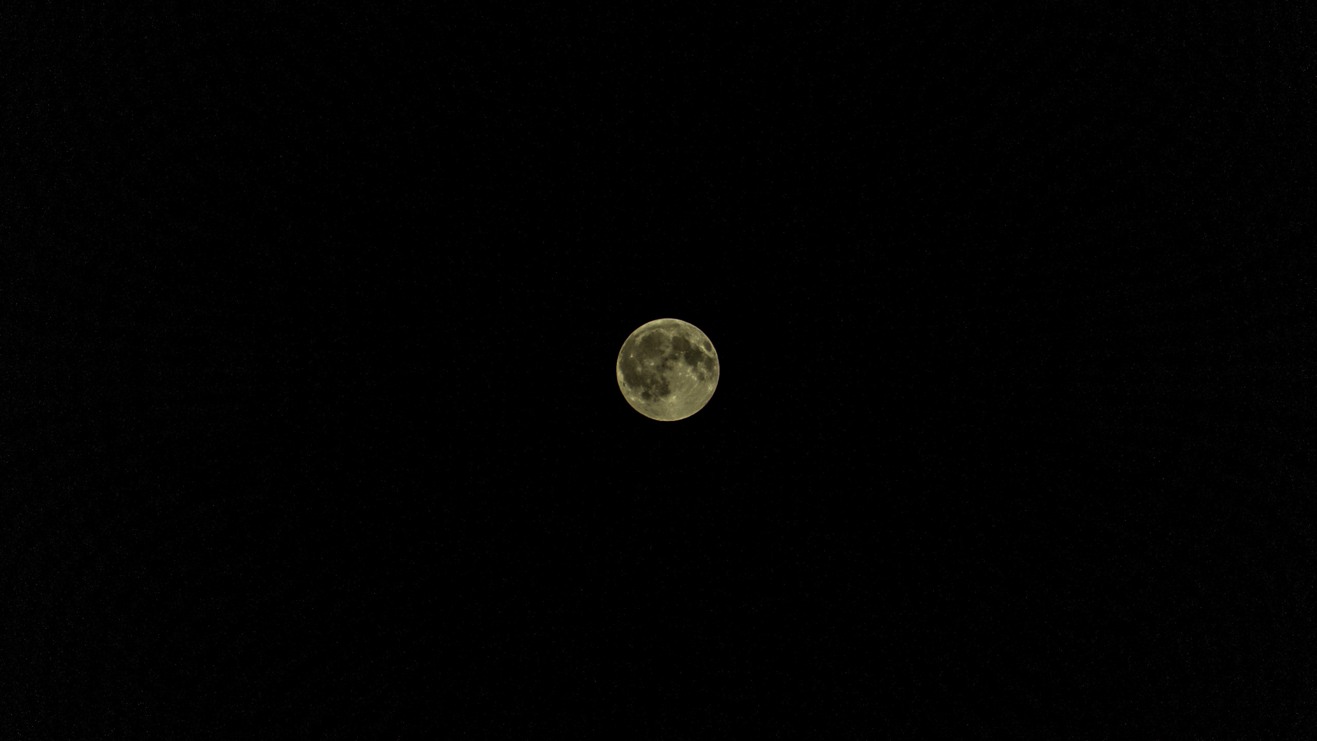 Vollmond am Nachthimmel. Wallpaper in 2560x1440 Resolution