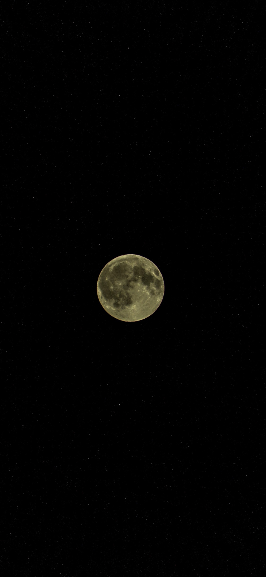 Pleine Lune Dans le Ciel Nocturne. Wallpaper in 1125x2436 Resolution