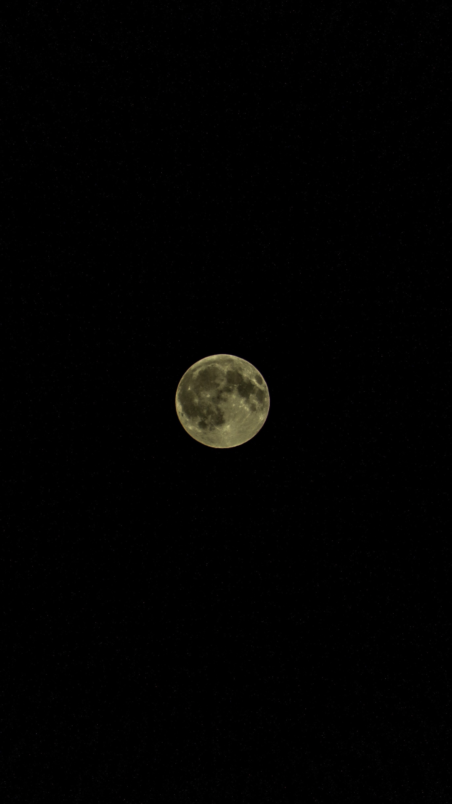 Pleine Lune Dans le Ciel Nocturne. Wallpaper in 1440x2560 Resolution
