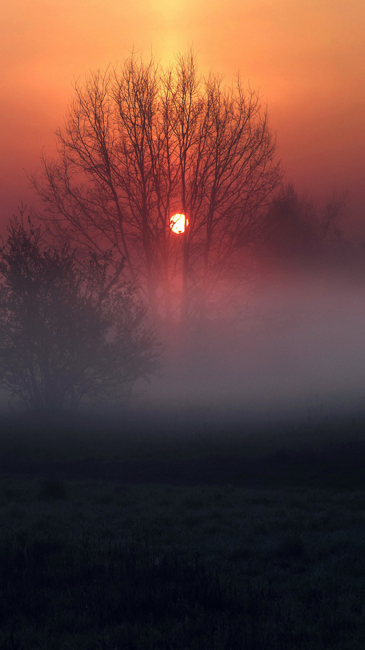 Atmosphäre, Cloud, Ökoregion, Naturlandschaft, Natürlichen Umgebung. Wallpaper in 750x1334 Resolution