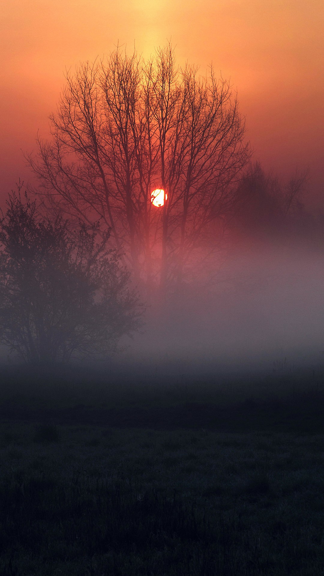 Atmosphere, Cloud, Plant, Ecoregion, Natural Landscape. Wallpaper in 1080x1920 Resolution