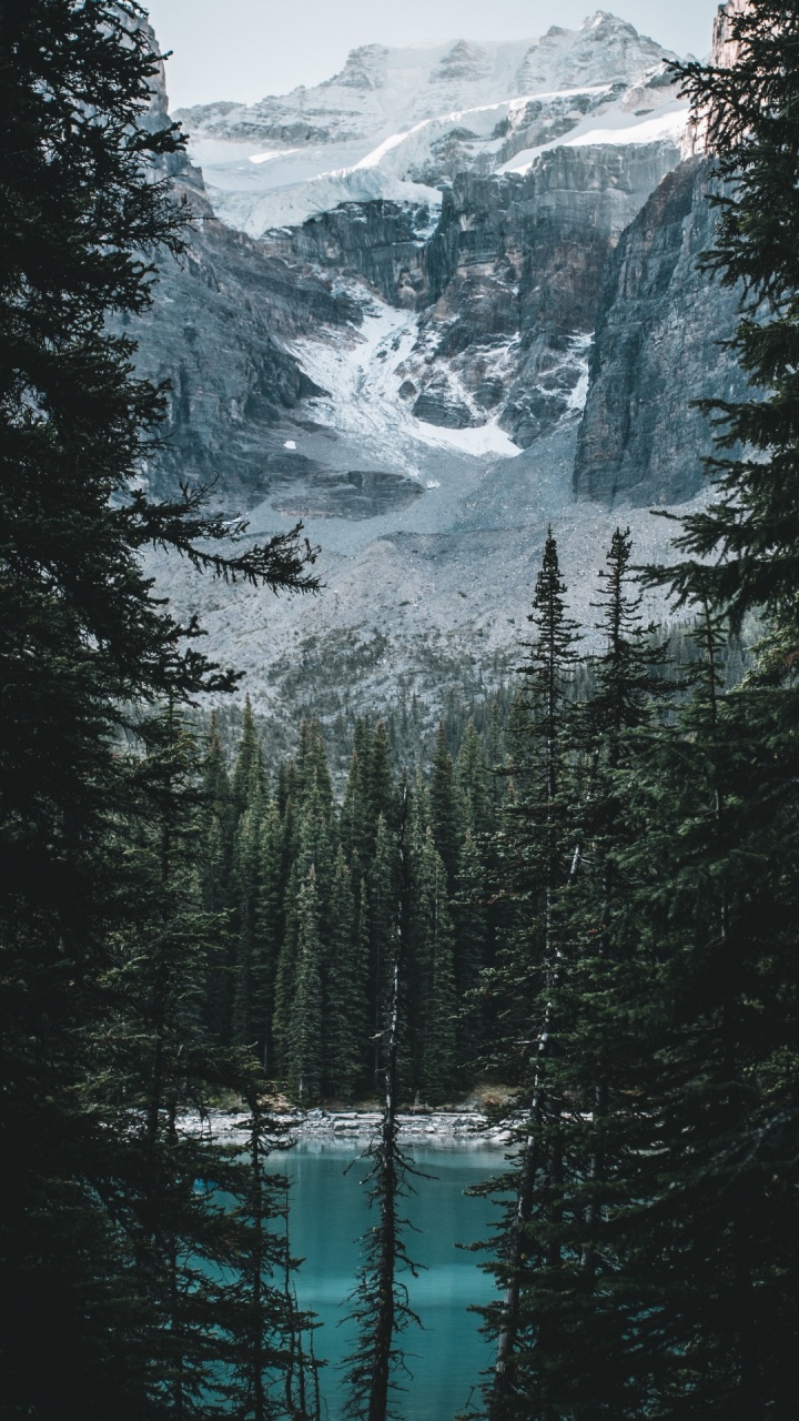 Montañas y Bosque, Agua, Montaña, Nieve, Paisaje Natural. Wallpaper in 720x1280 Resolution