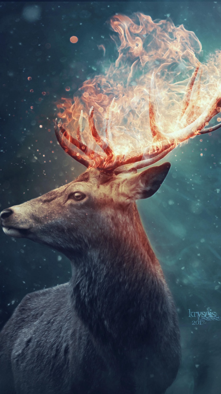 Brown Deer With Blue and Red Lights. Wallpaper in 720x1280 Resolution