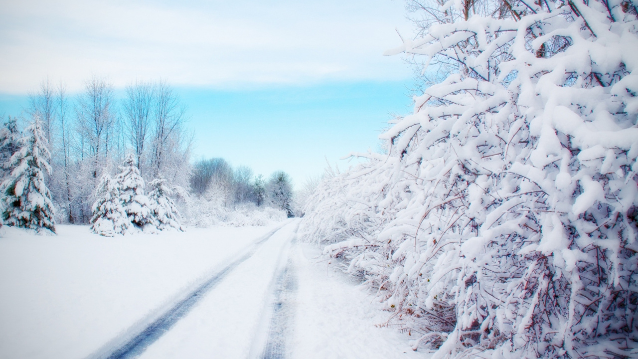 冬天, 冻结, 相框, 天空, 雪道 壁纸 1280x720 允许