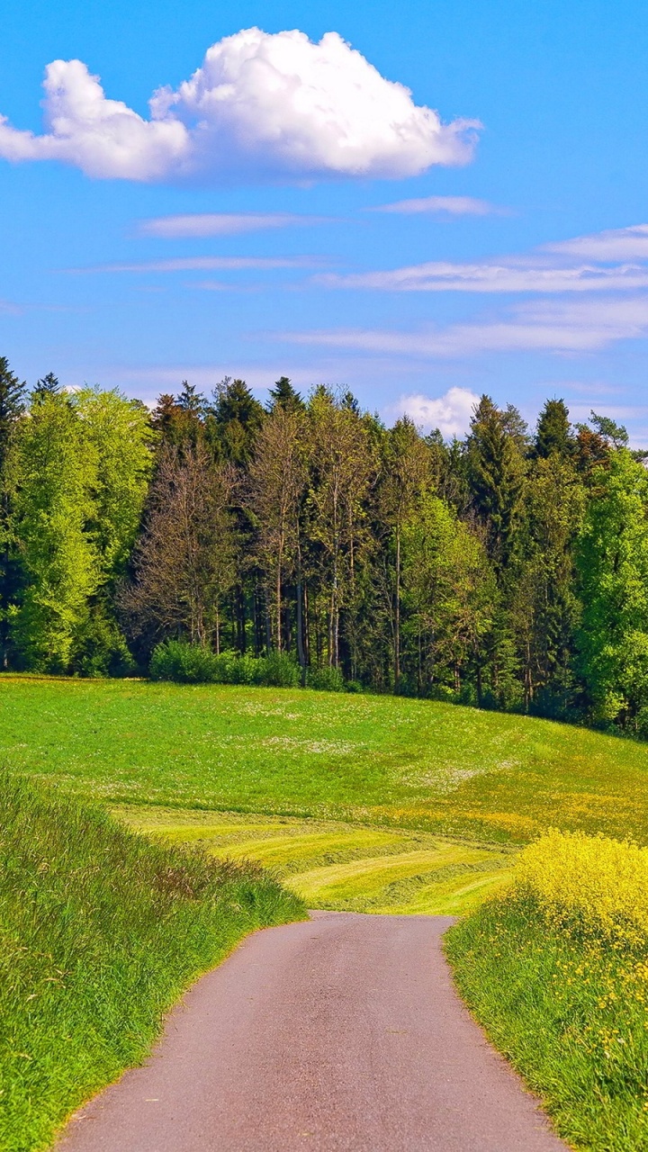 Champ D'herbe Verte et Arbres Sous Ciel Bleu Pendant la Journée. Wallpaper in 720x1280 Resolution