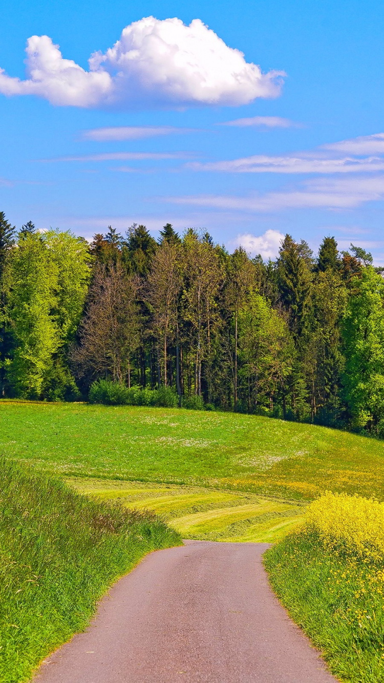 Green Grass Field and Trees Under Blue Sky During Daytime. Wallpaper in 750x1334 Resolution