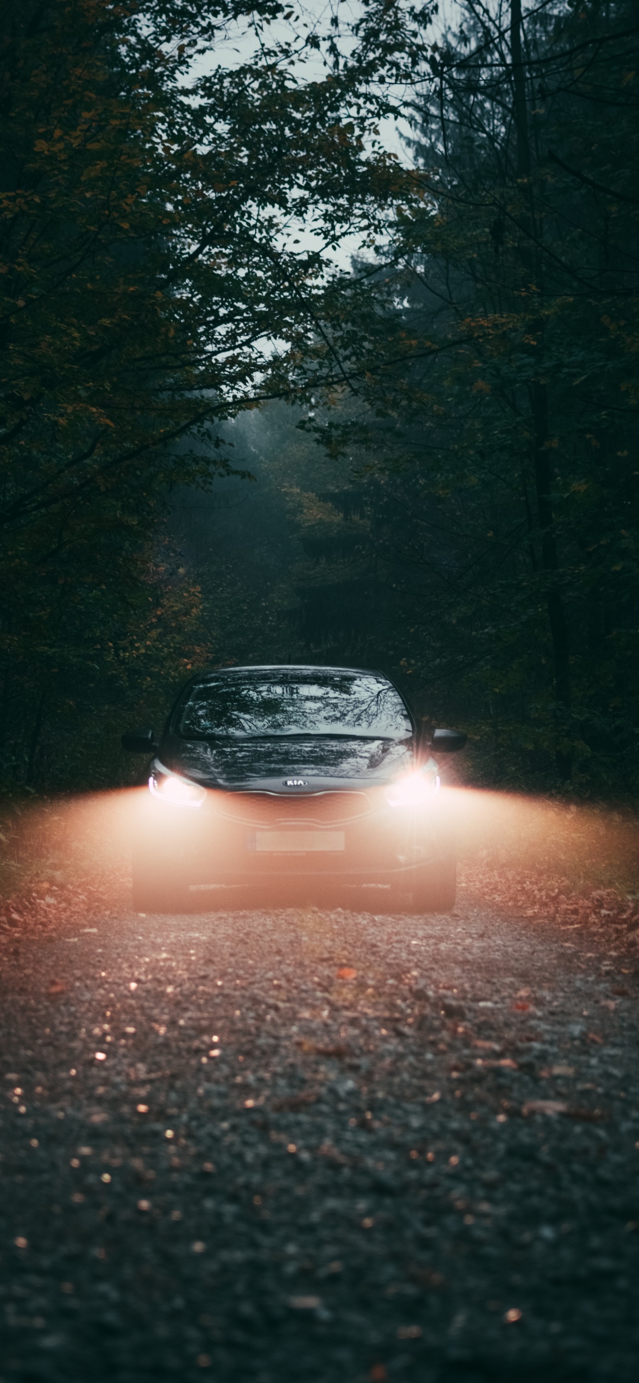 Voiture Noire Sur Route Entre Les Arbres Pendant la Journée. Wallpaper in 1242x2688 Resolution