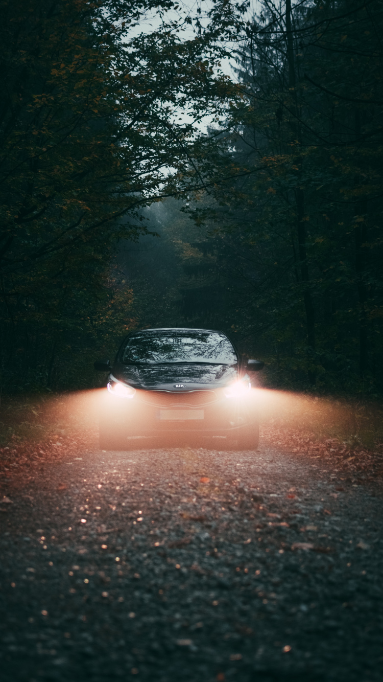 Voiture Noire Sur Route Entre Les Arbres Pendant la Journée. Wallpaper in 750x1334 Resolution