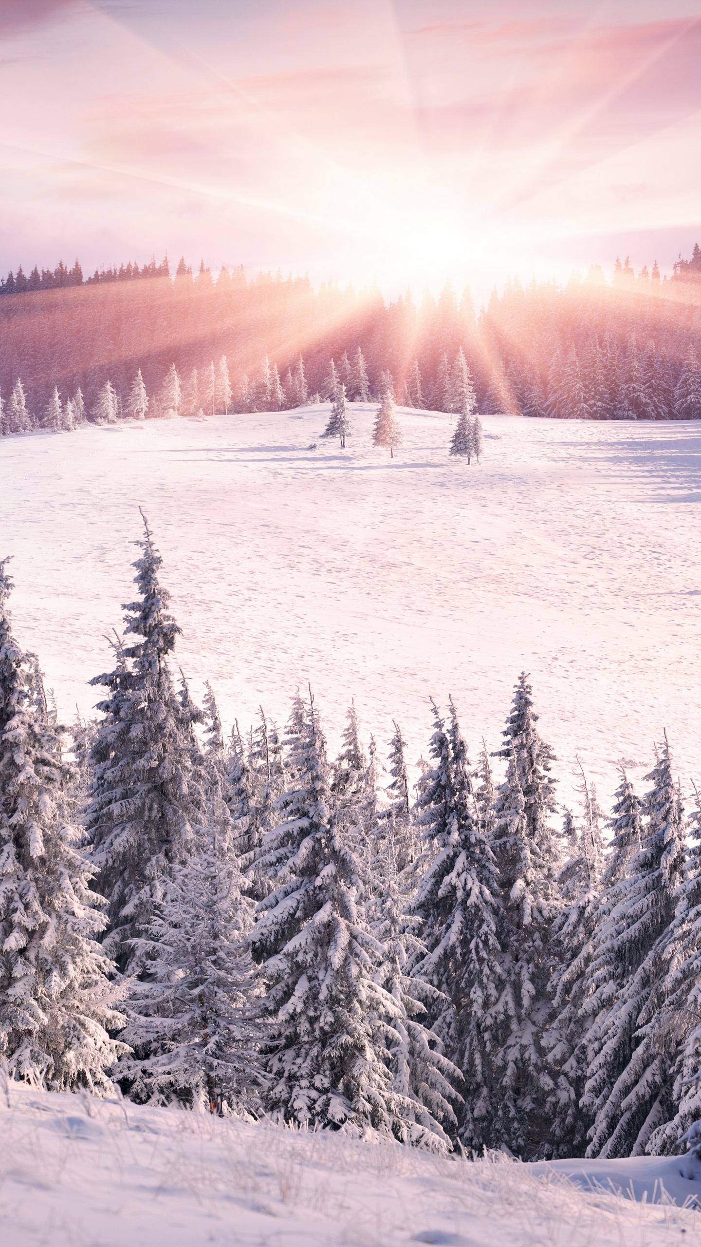 冬天, 多山的地貌, 荒野, 滑雪道, 天空 壁纸 1440x2560 允许