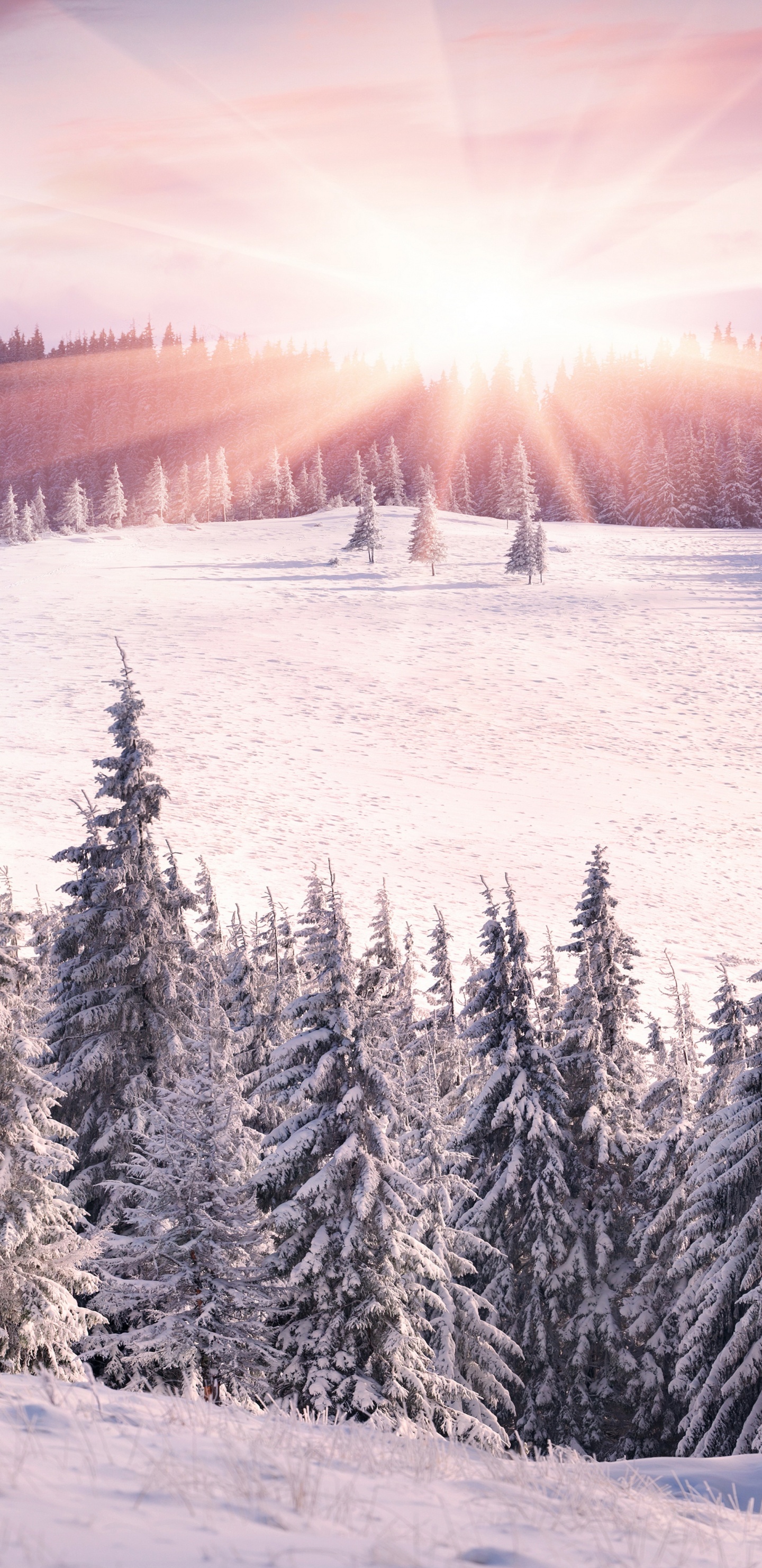 冬天, 多山的地貌, 荒野, 滑雪道, 天空 壁纸 1440x2960 允许