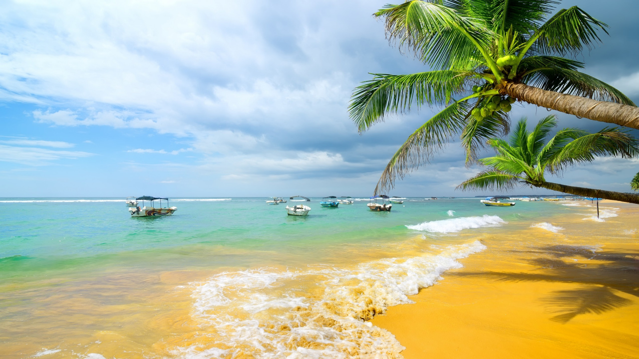 People on Beach During Daytime. Wallpaper in 1280x720 Resolution