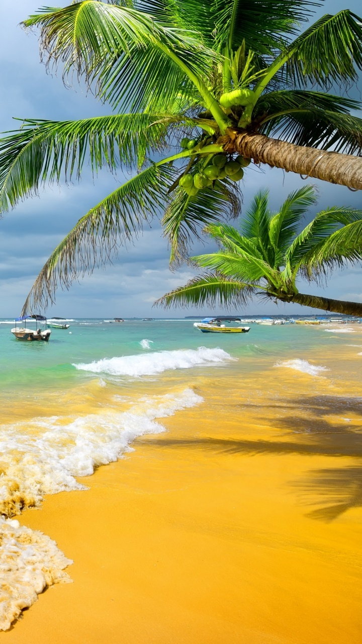People on Beach During Daytime. Wallpaper in 720x1280 Resolution