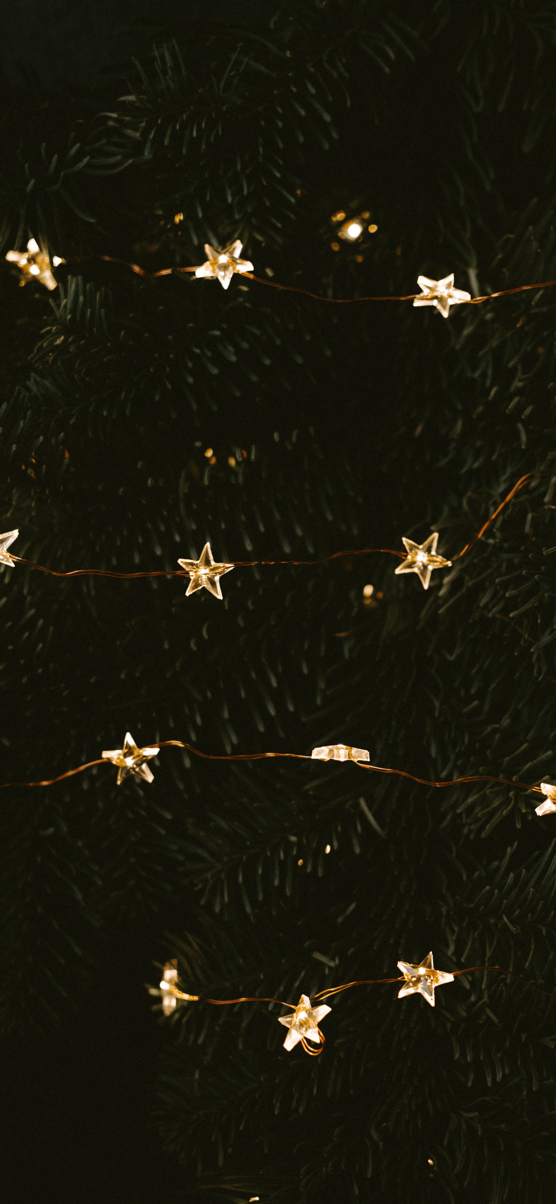 White and Brown Flower Petals. Wallpaper in 1125x2436 Resolution