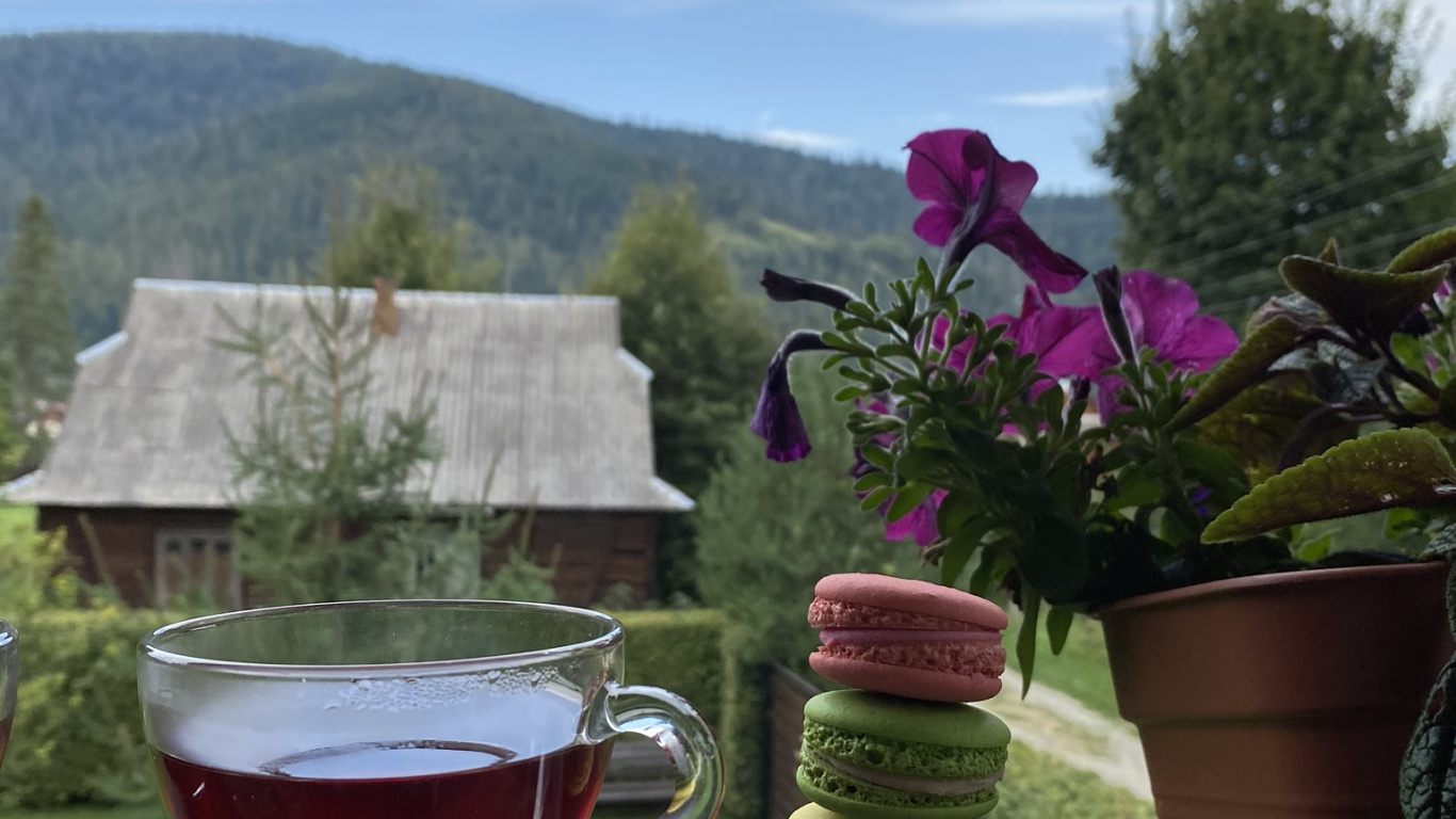 Blumentopf, Wissenschaft, Physik, Serveware, Drinkware. Wallpaper in 1366x768 Resolution