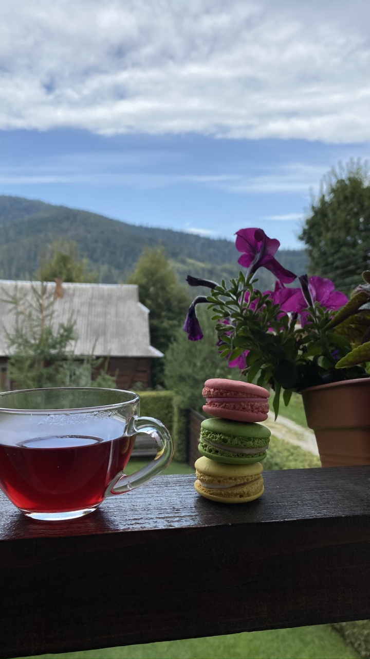 Maceta, Ciencia, la Física, Bandejas de Servir, Cristalería. Wallpaper in 720x1280 Resolution