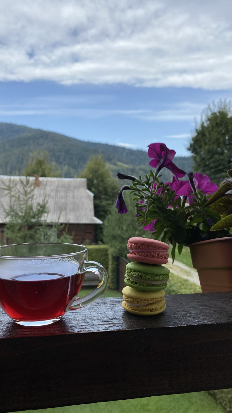 Maceta, Ciencia, la Física, Bandejas de Servir, Cristalería. Wallpaper in 750x1334 Resolution