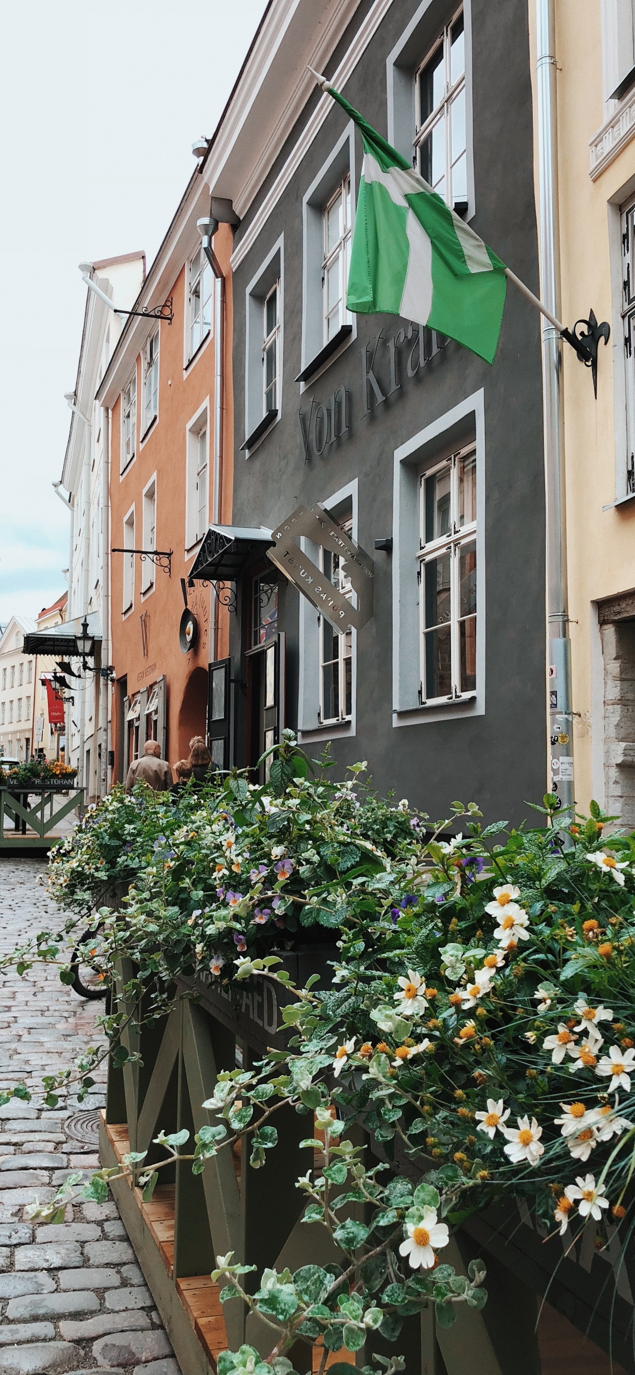 Flower, Window, Plant, Neighbourhood, Flag. Wallpaper in 1242x2688 Resolution