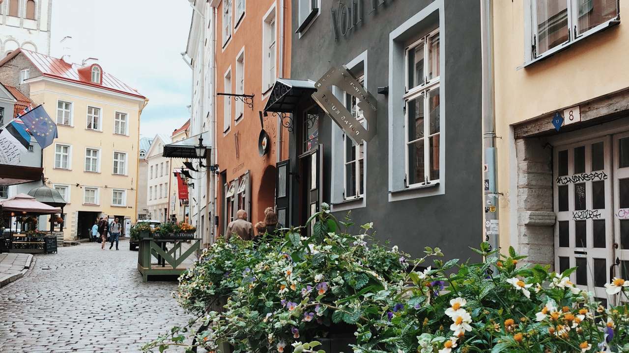 Flower, Window, Plant, Neighbourhood, Flag. Wallpaper in 1280x720 Resolution