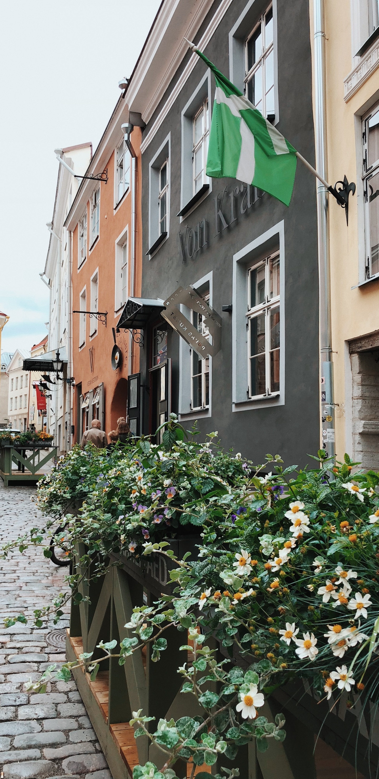 Flower, Window, Plant, Neighbourhood, Flag. Wallpaper in 1440x2960 Resolution