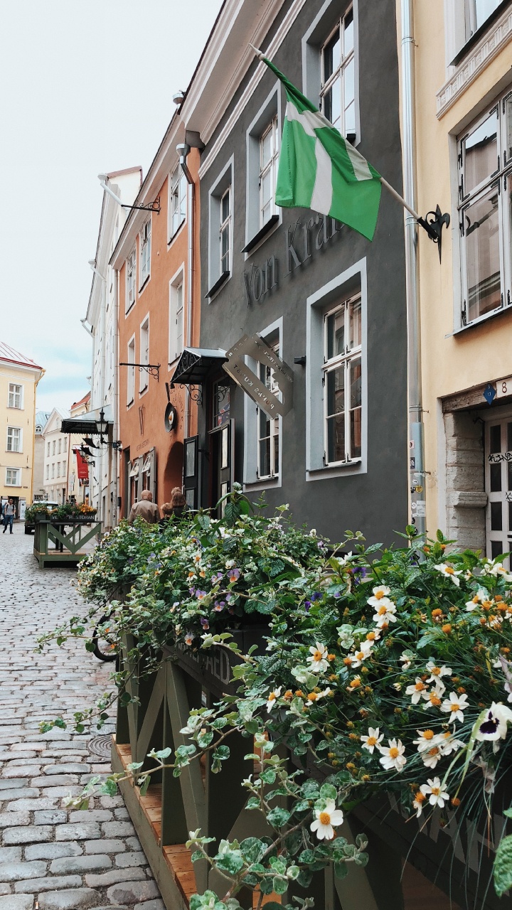Flower, Window, Plant, Neighbourhood, Flag. Wallpaper in 720x1280 Resolution