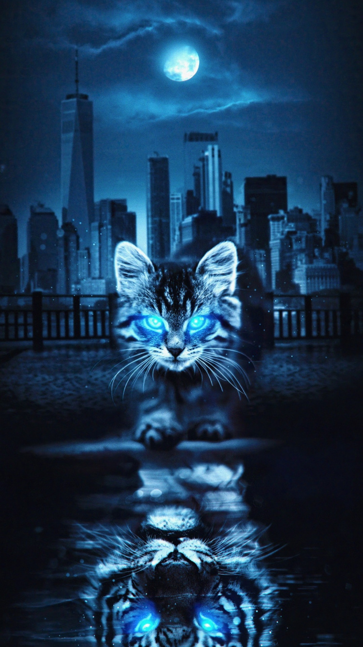 猫科, 光, 月亮 壁纸 750x1334 允许