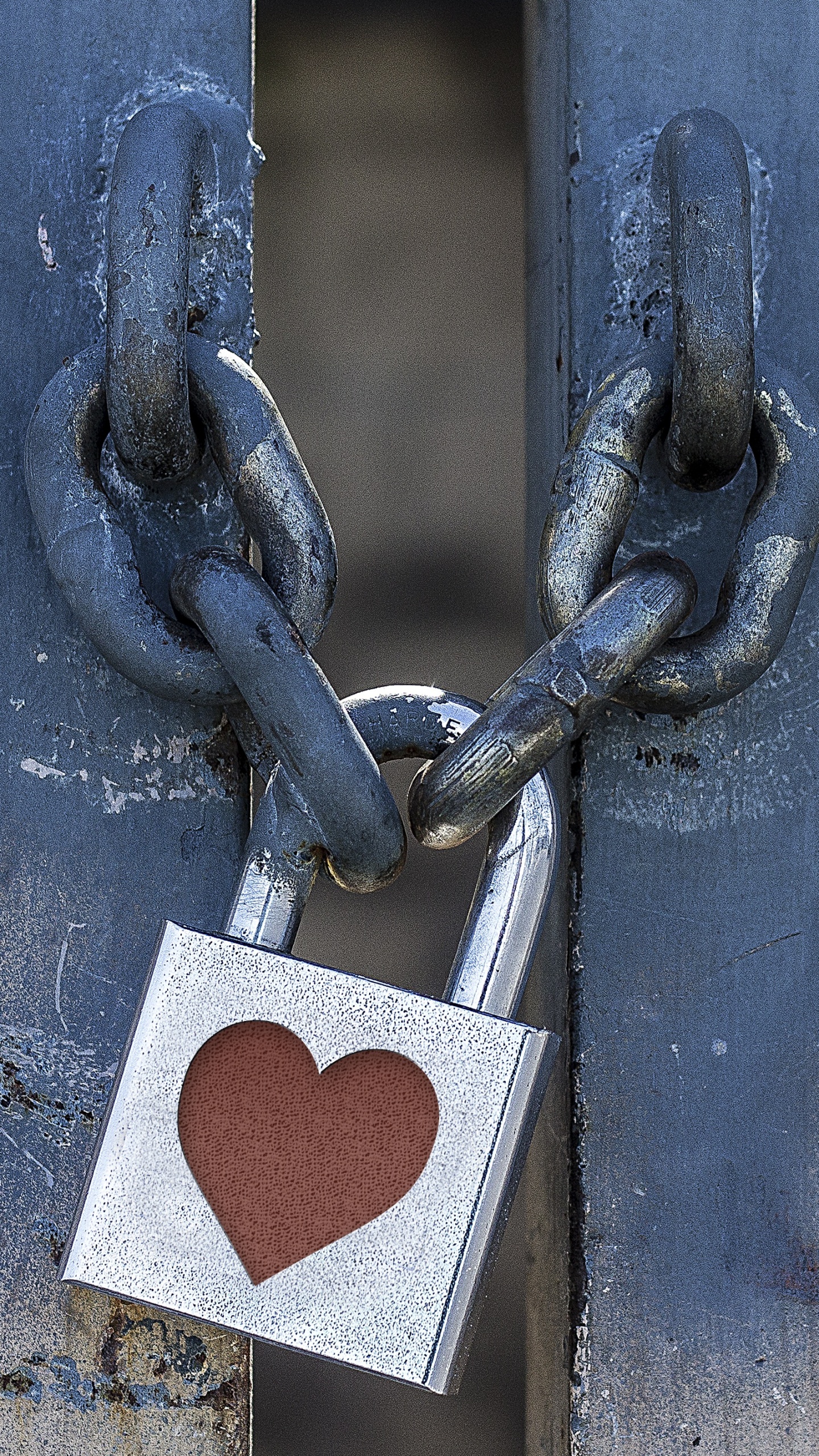 Gray Padlock on Blue Metal Door. Wallpaper in 1440x2560 Resolution