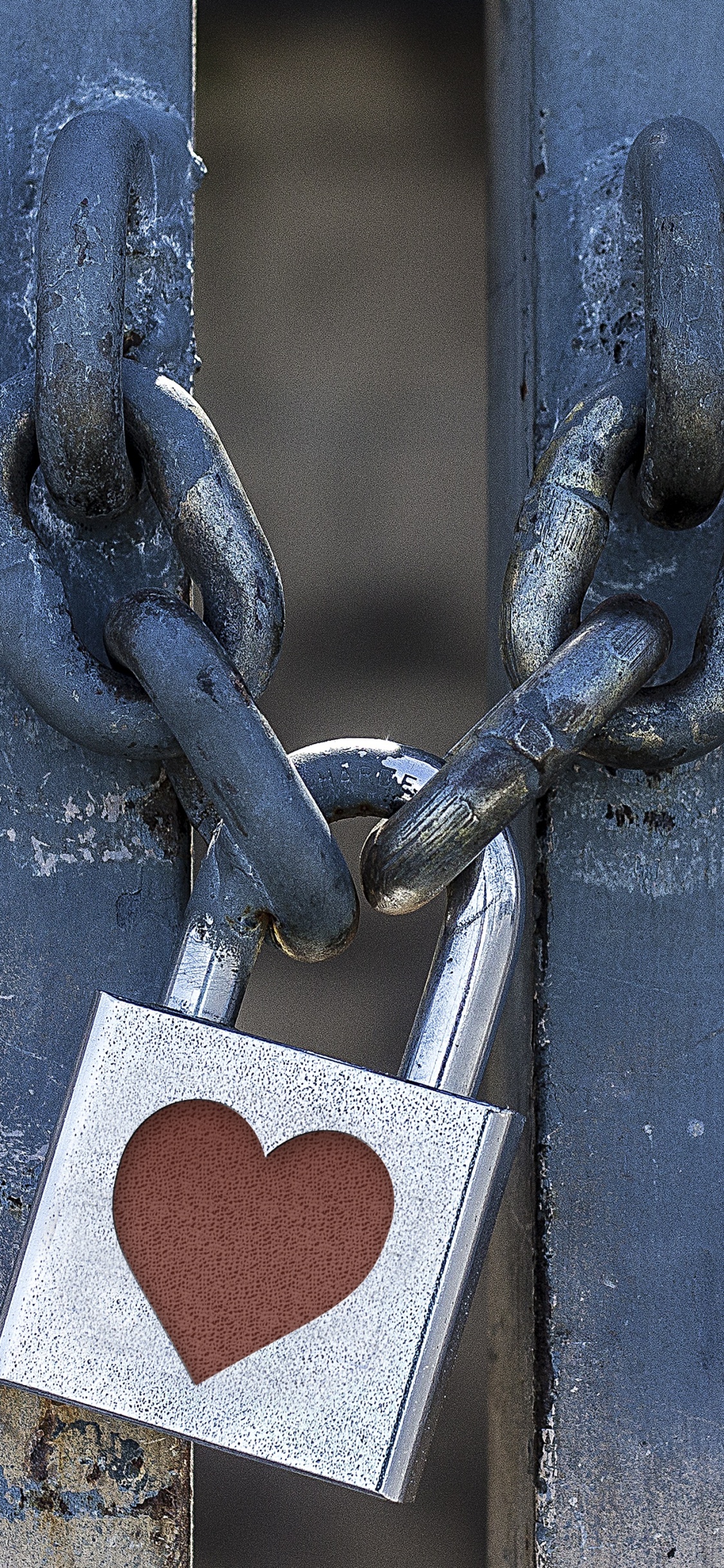 Cadenas Gris Sur Porte en Métal Bleu. Wallpaper in 1125x2436 Resolution