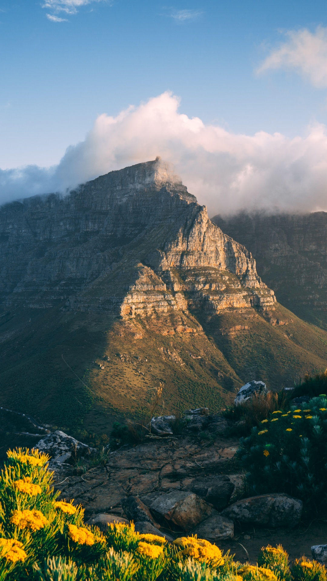 Cape Town, Table Mountain National Park, Maclears Beacon, Himalayas, Canyonlands National Park. Wallpaper in 1080x1920 Resolution