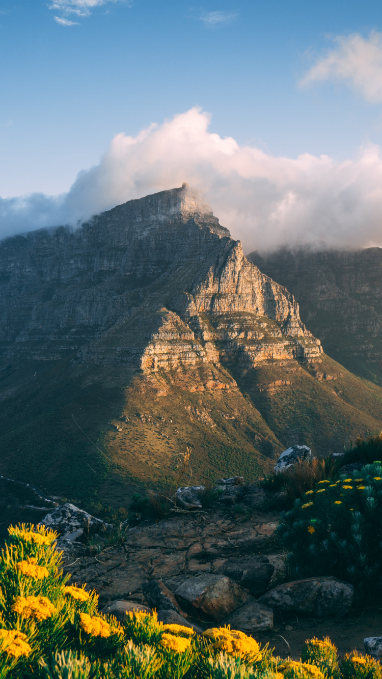 Cape Town, Table Mountain National Park, Maclears Beacon, Himalayas, Canyonlands National Park. Wallpaper in 750x1334 Resolution