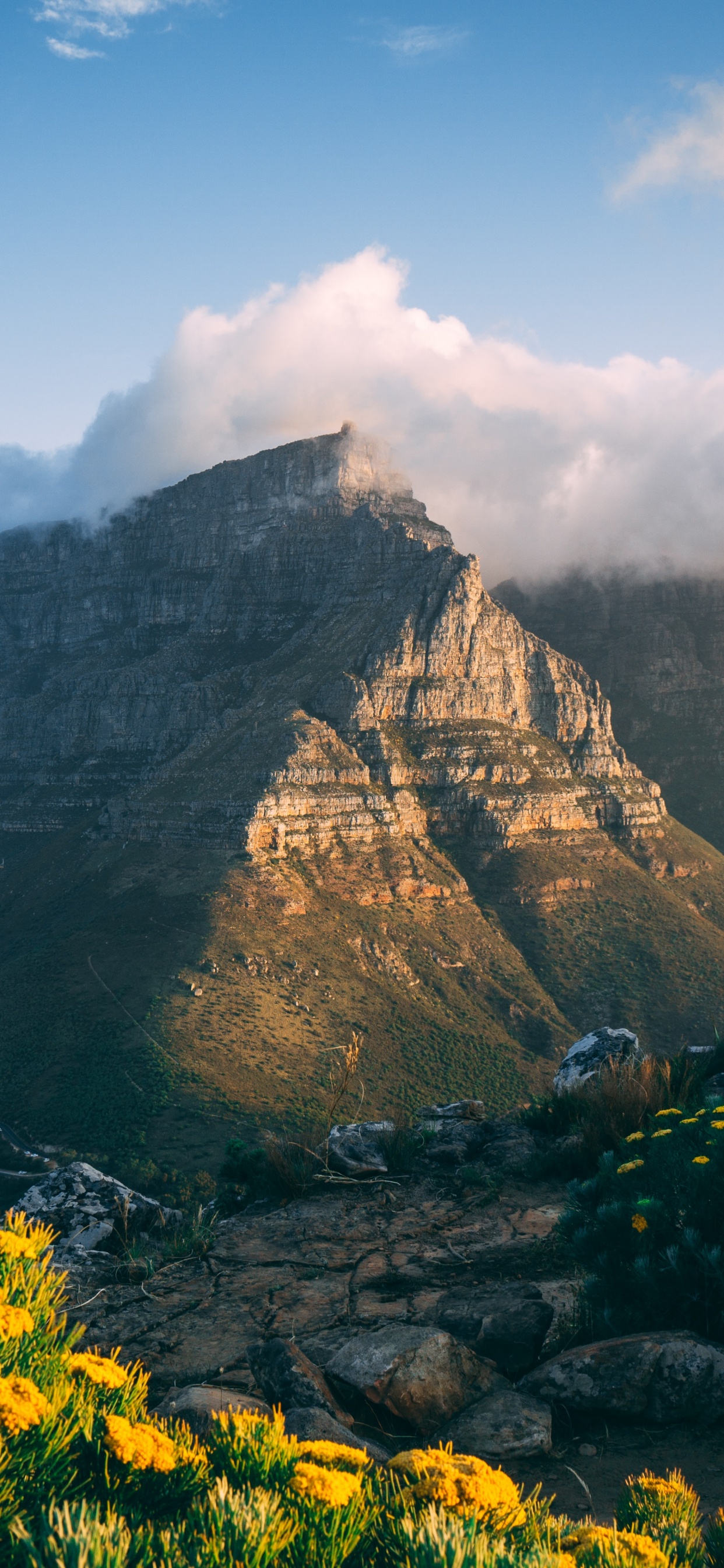 Kapstadt, Tafelberg-Nationalpark, Maclears Leuchtfeuer, Himalaya, Canyonlands National Park. Wallpaper in 1242x2688 Resolution