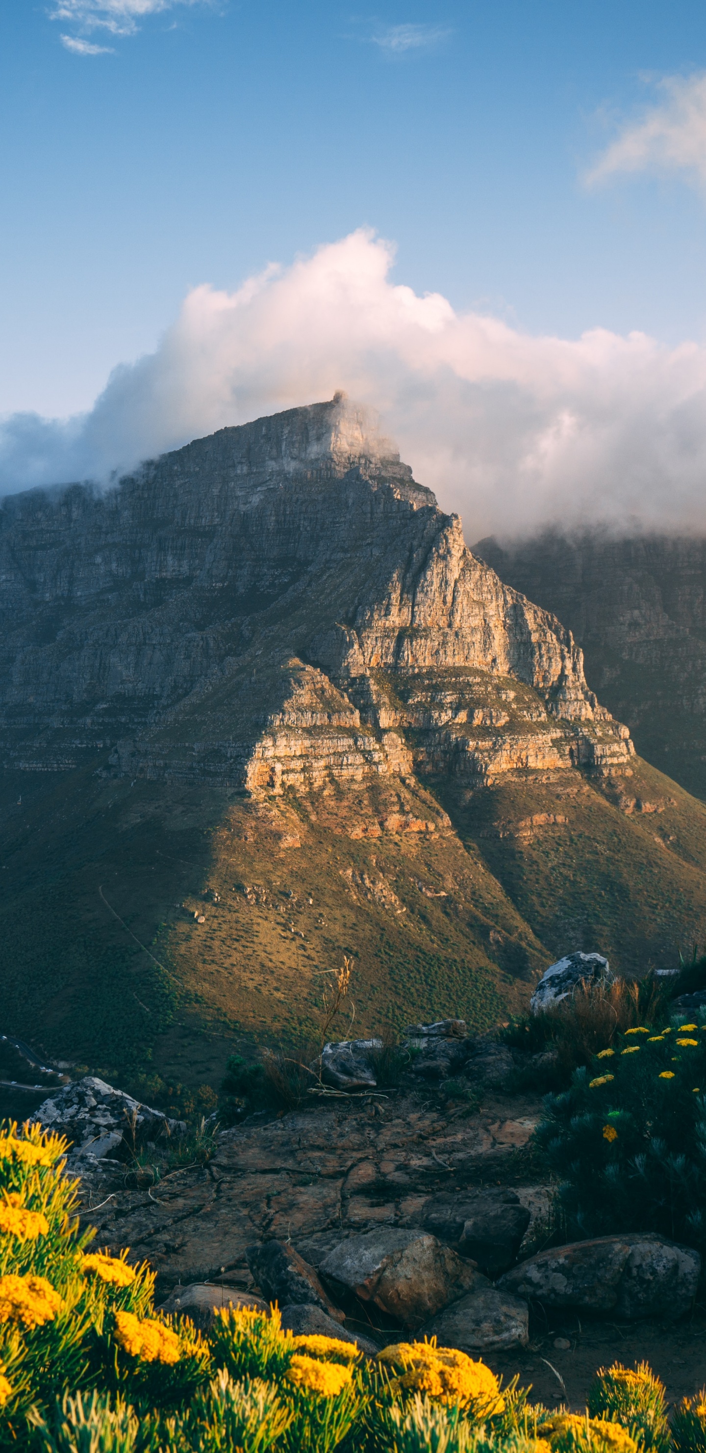 Kapstadt, Tafelberg-Nationalpark, Maclears Leuchtfeuer, Himalaya, Canyonlands National Park. Wallpaper in 1440x2960 Resolution
