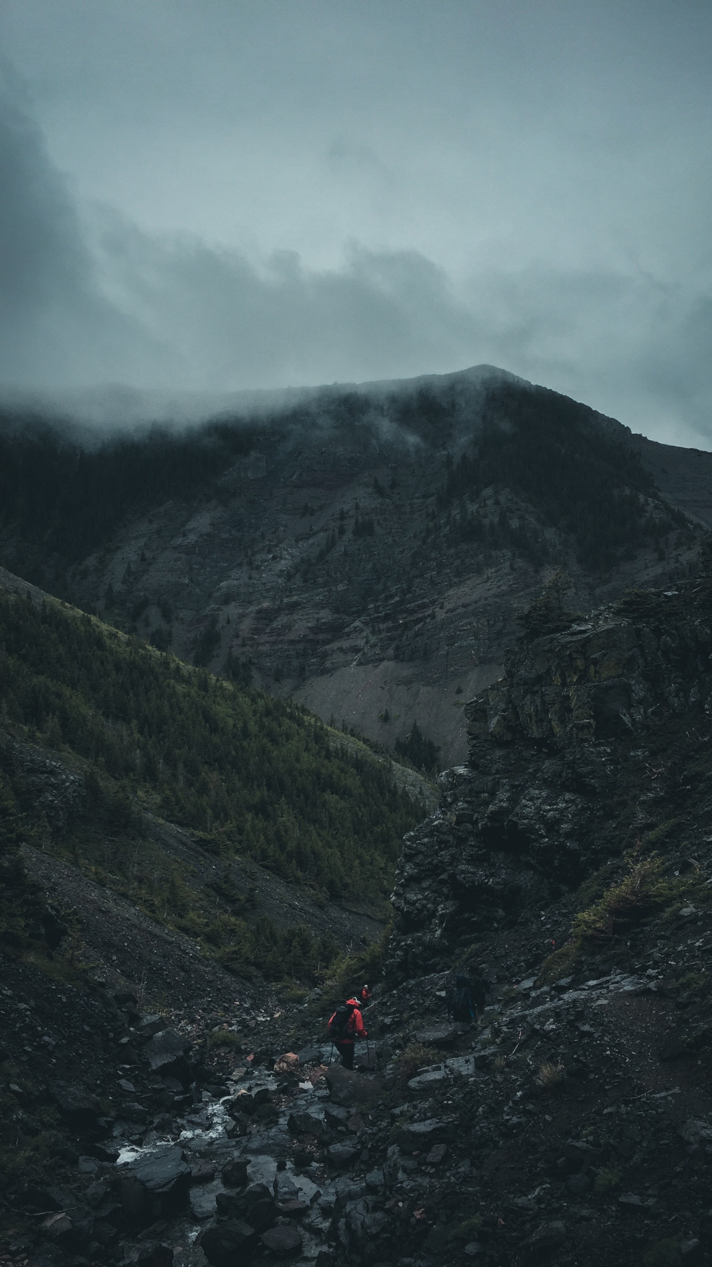 Leute, Die Tagsüber Auf Den Berg Gehen. Wallpaper in 1440x2560 Resolution