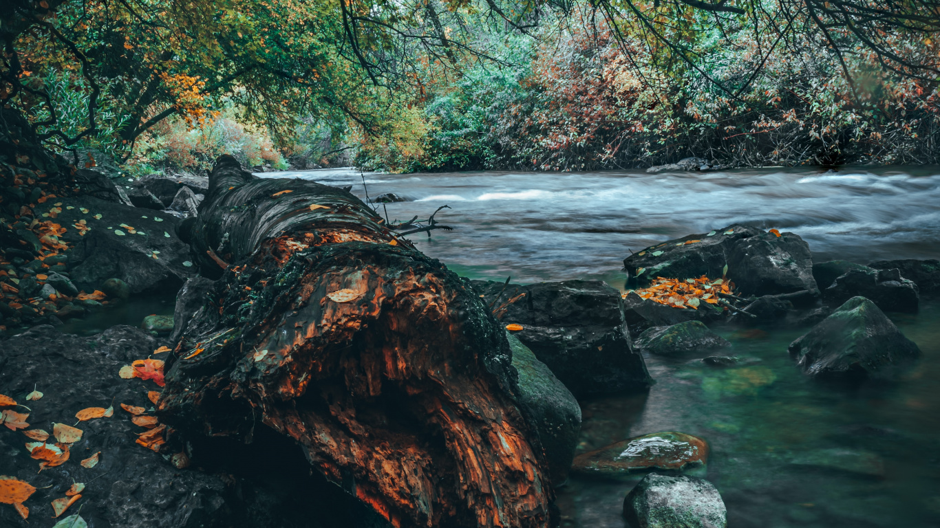 Naturaleza, Agua, Paisaje Natural, Verde, Reflexión. Wallpaper in 1366x768 Resolution