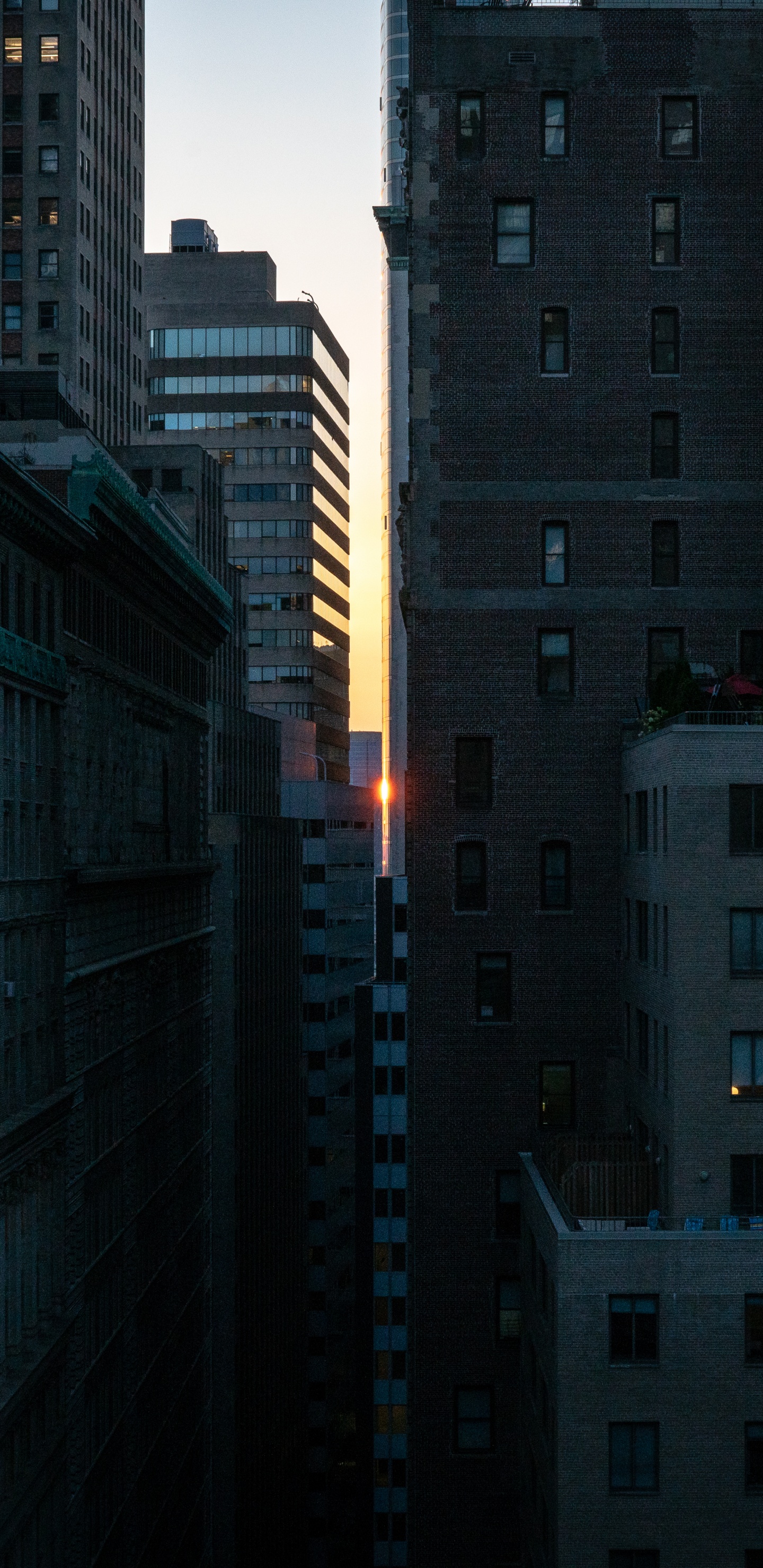 Immeubles de Grande Hauteur Pendant la Journée. Wallpaper in 1440x2960 Resolution