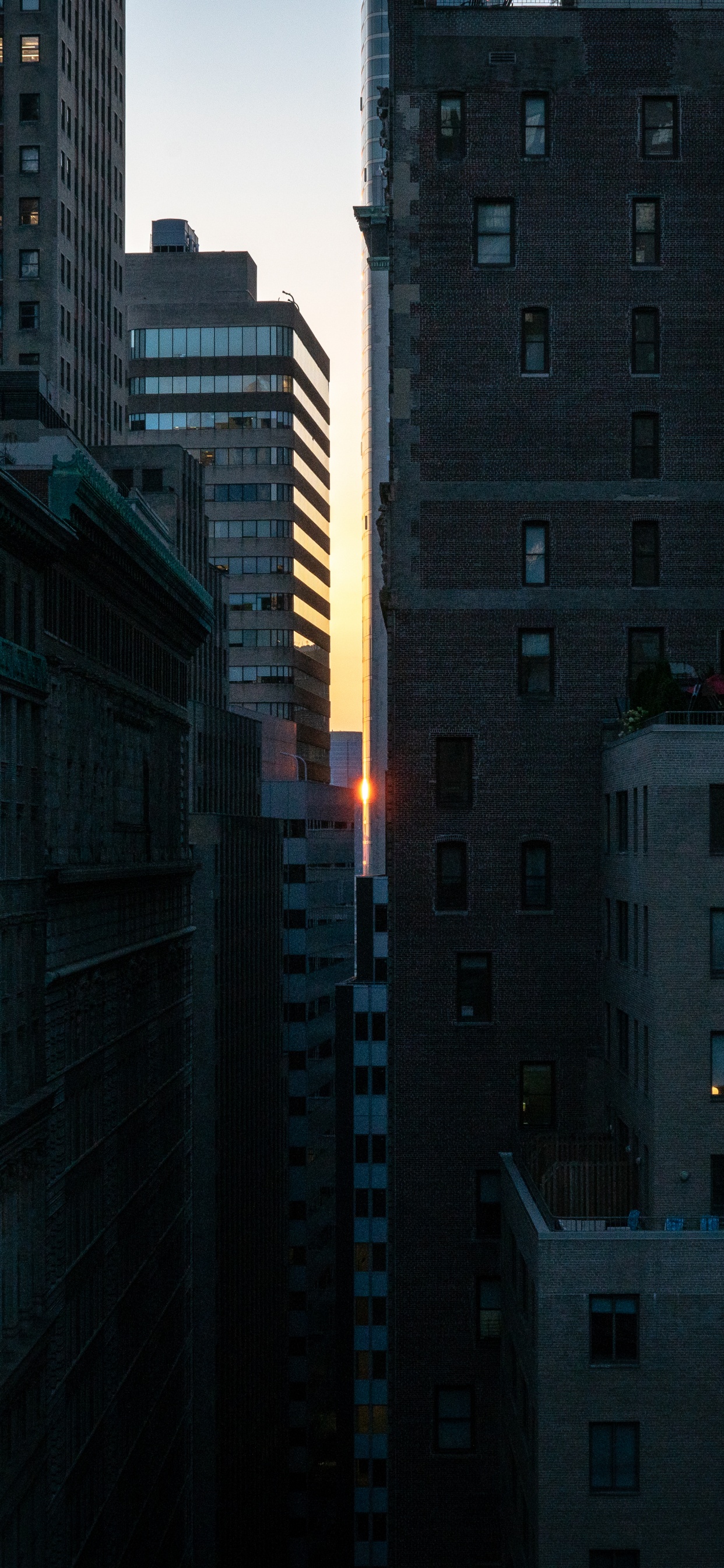 High Rise Buildings During Daytime. Wallpaper in 1242x2688 Resolution