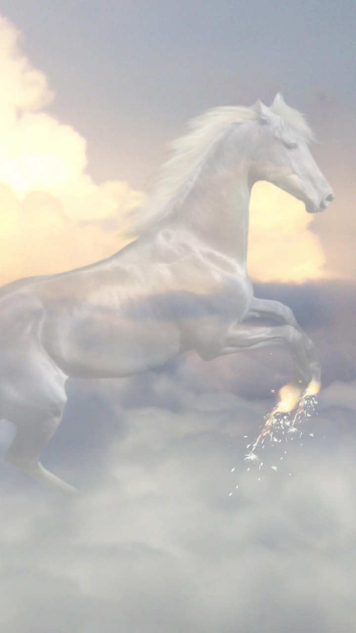 Weißes Pferd Läuft Auf Wasser. Wallpaper in 720x1280 Resolution