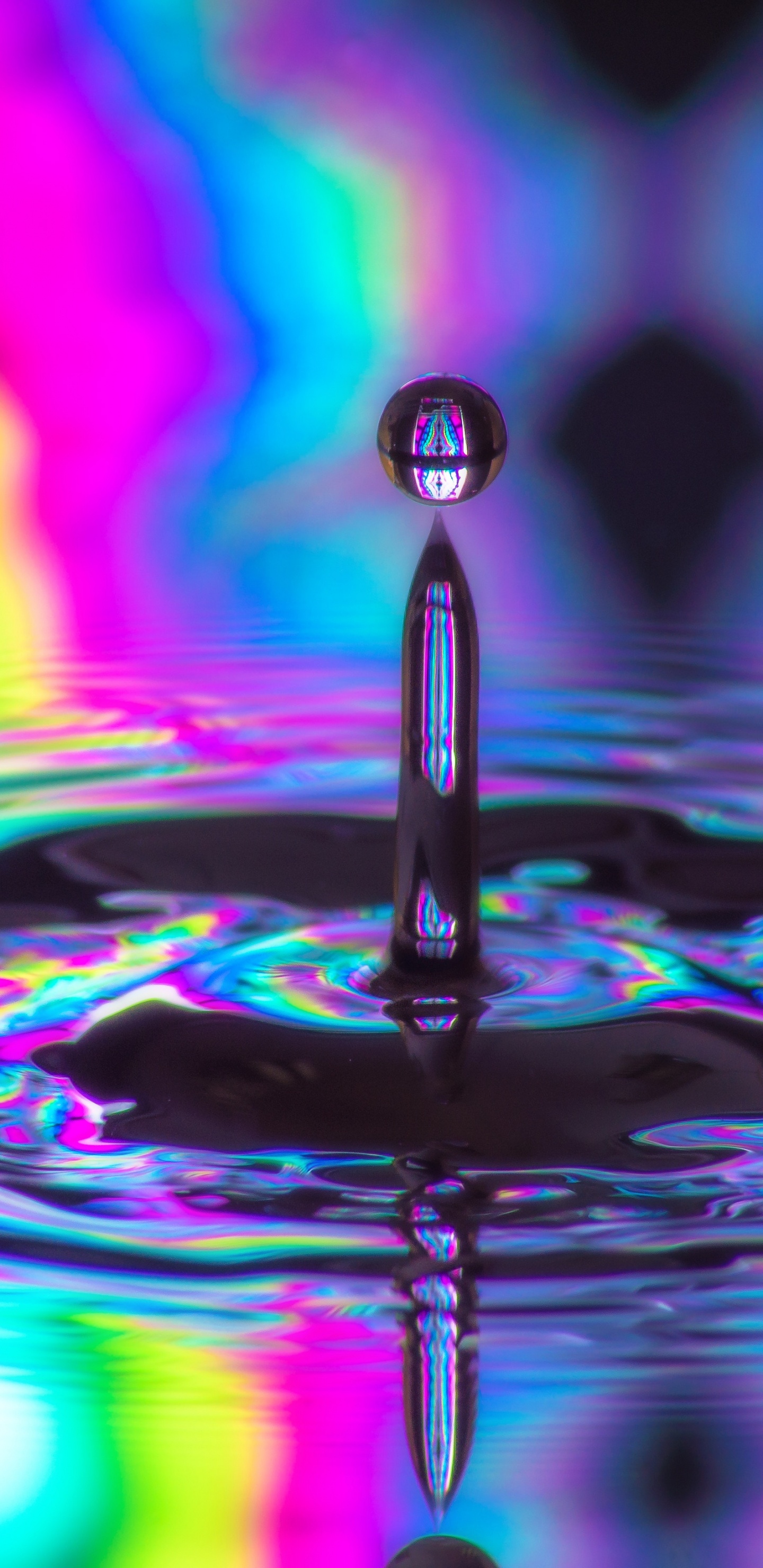 Goutte D'eau en Macrophotographie. Wallpaper in 1440x2960 Resolution