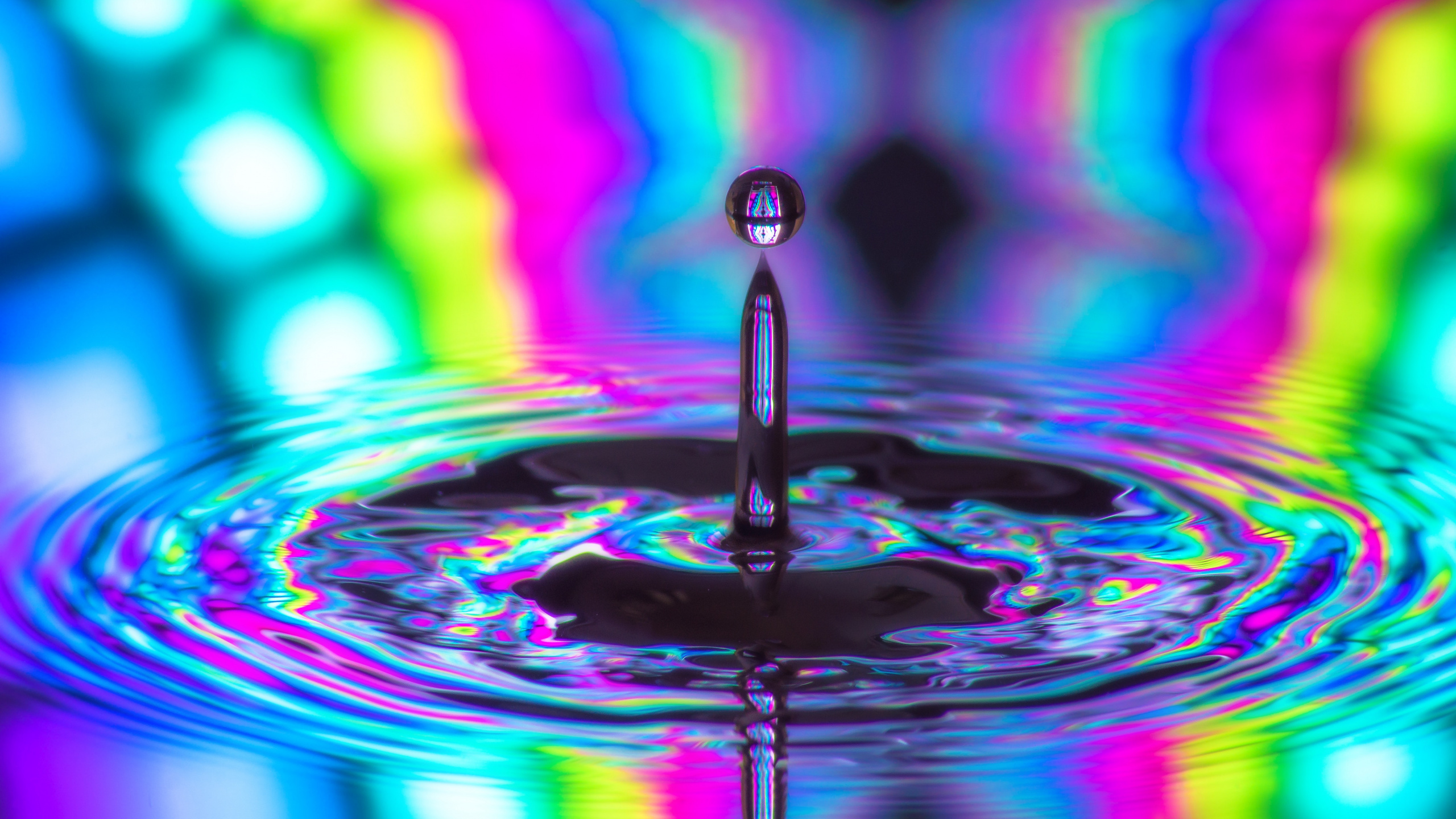 Wassertropfen in Der Makrofotografie. Wallpaper in 2560x1440 Resolution