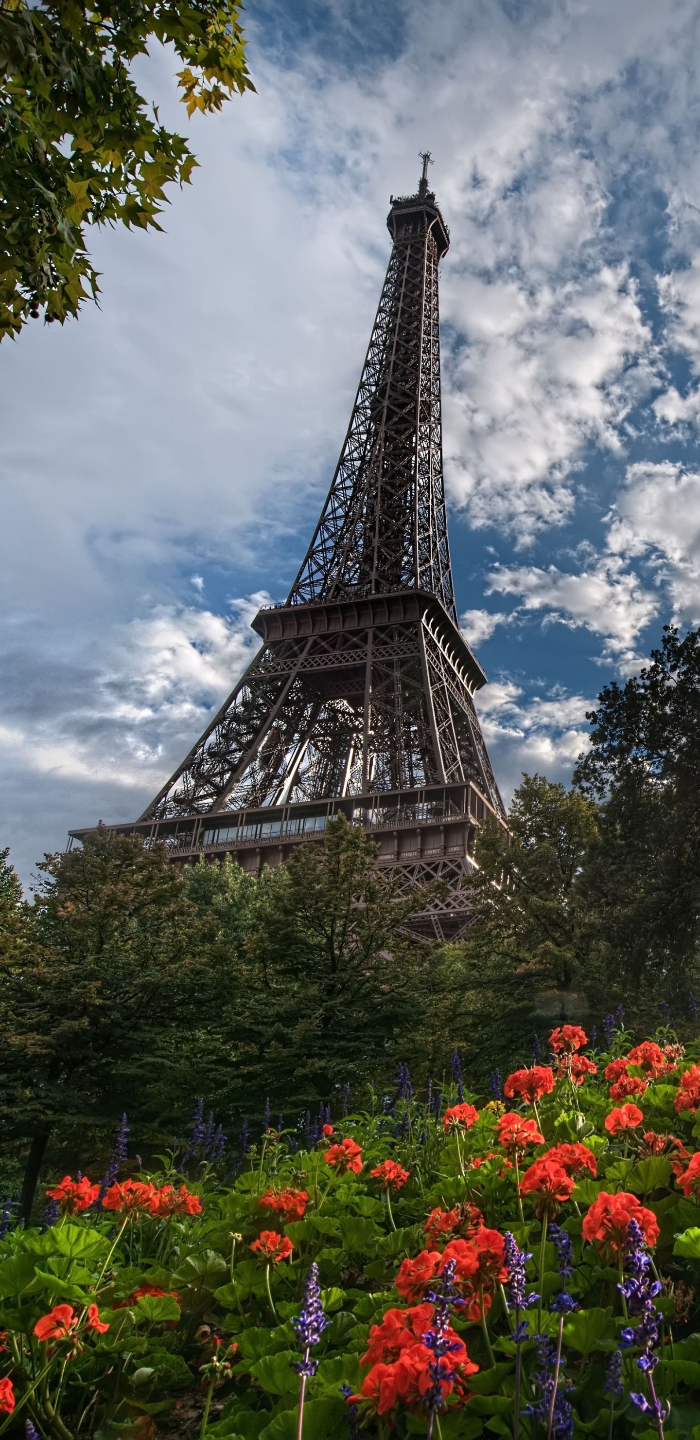 艾菲尔铁塔, 性质, 里程碑, 巴黎的埃菲尔铁塔, 天空 壁纸 1440x2960 允许