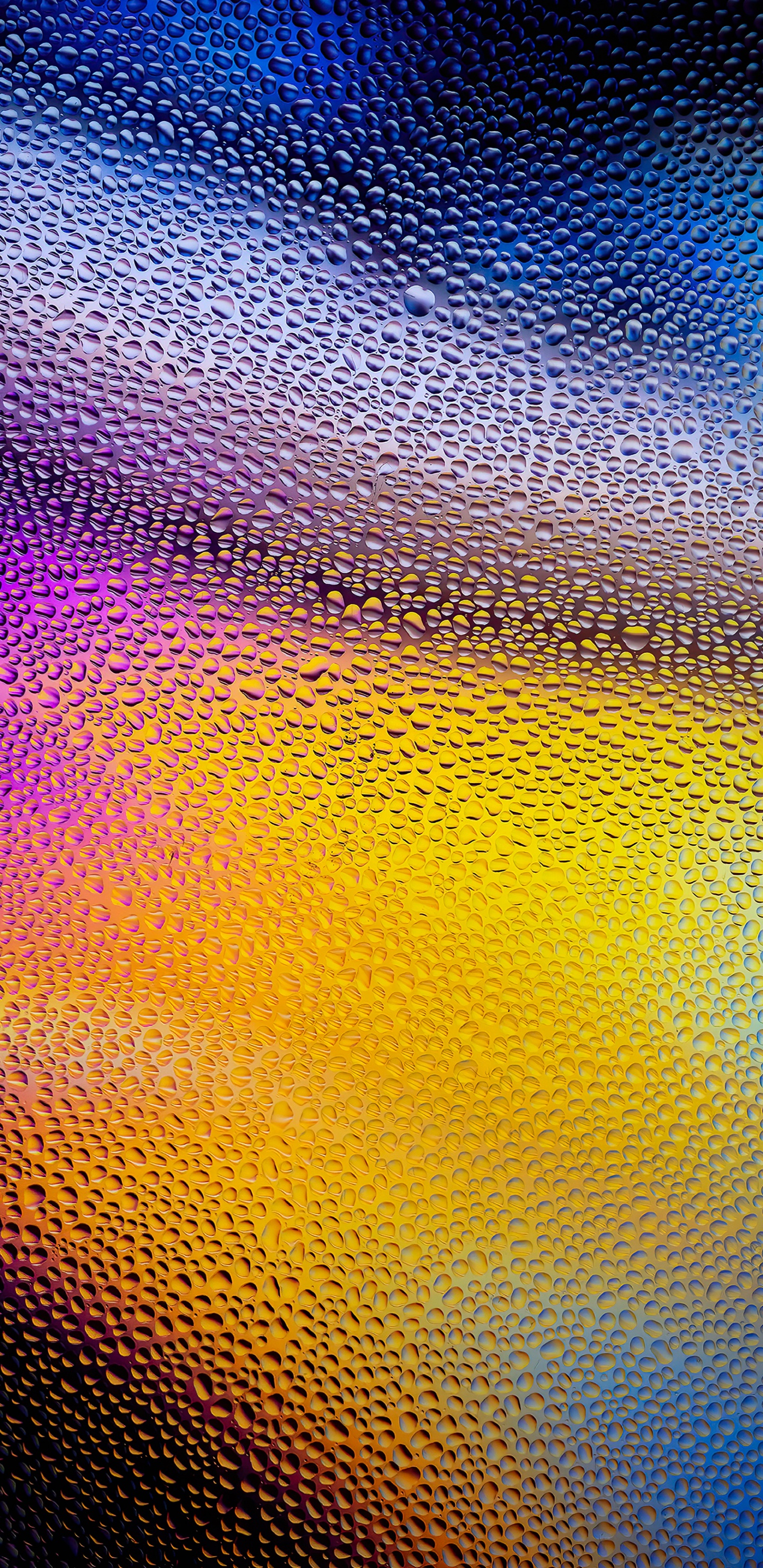 Close Up, Orange, Werkstoffeigenschaften, Muster, Electric Blue. Wallpaper in 1440x2960 Resolution