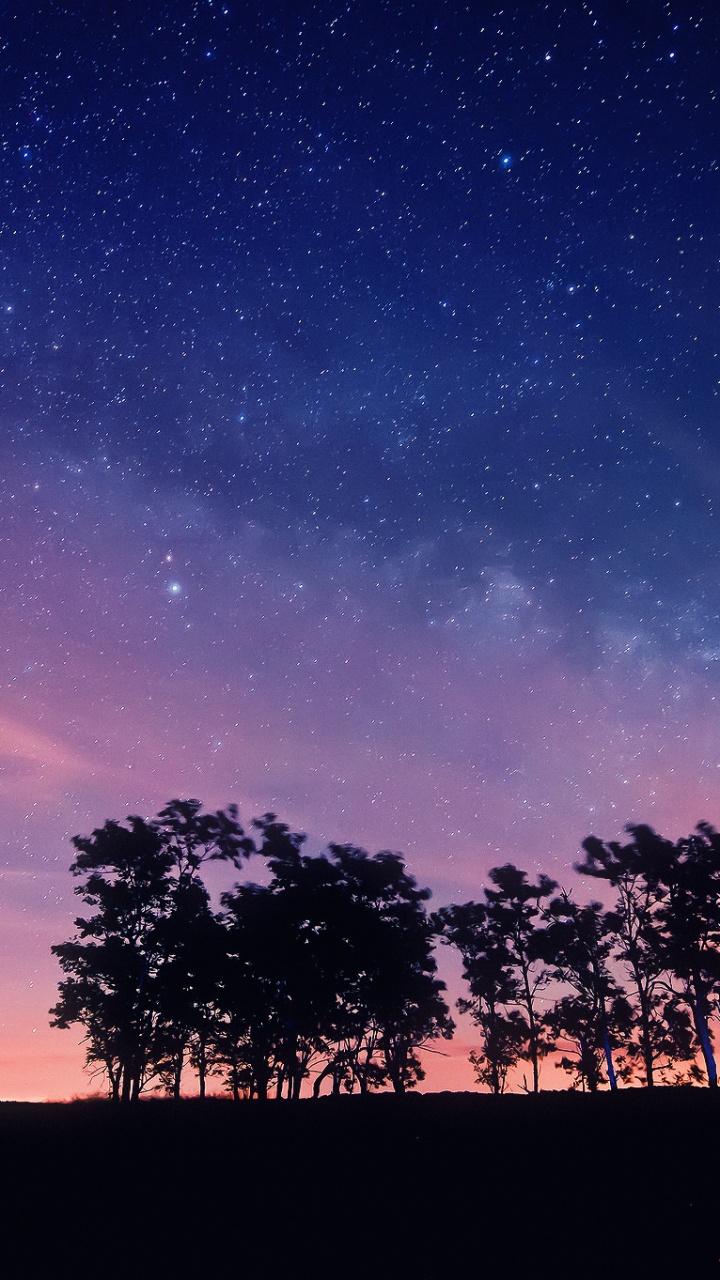 Silueta de Árboles Bajo un Cielo Azul Durante la Noche. Wallpaper in 720x1280 Resolution