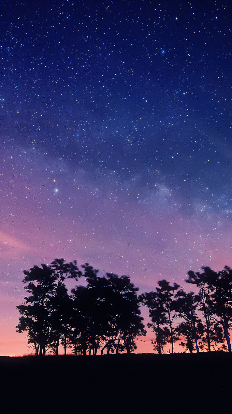 Silueta de Árboles Bajo un Cielo Azul Durante la Noche. Wallpaper in 750x1334 Resolution