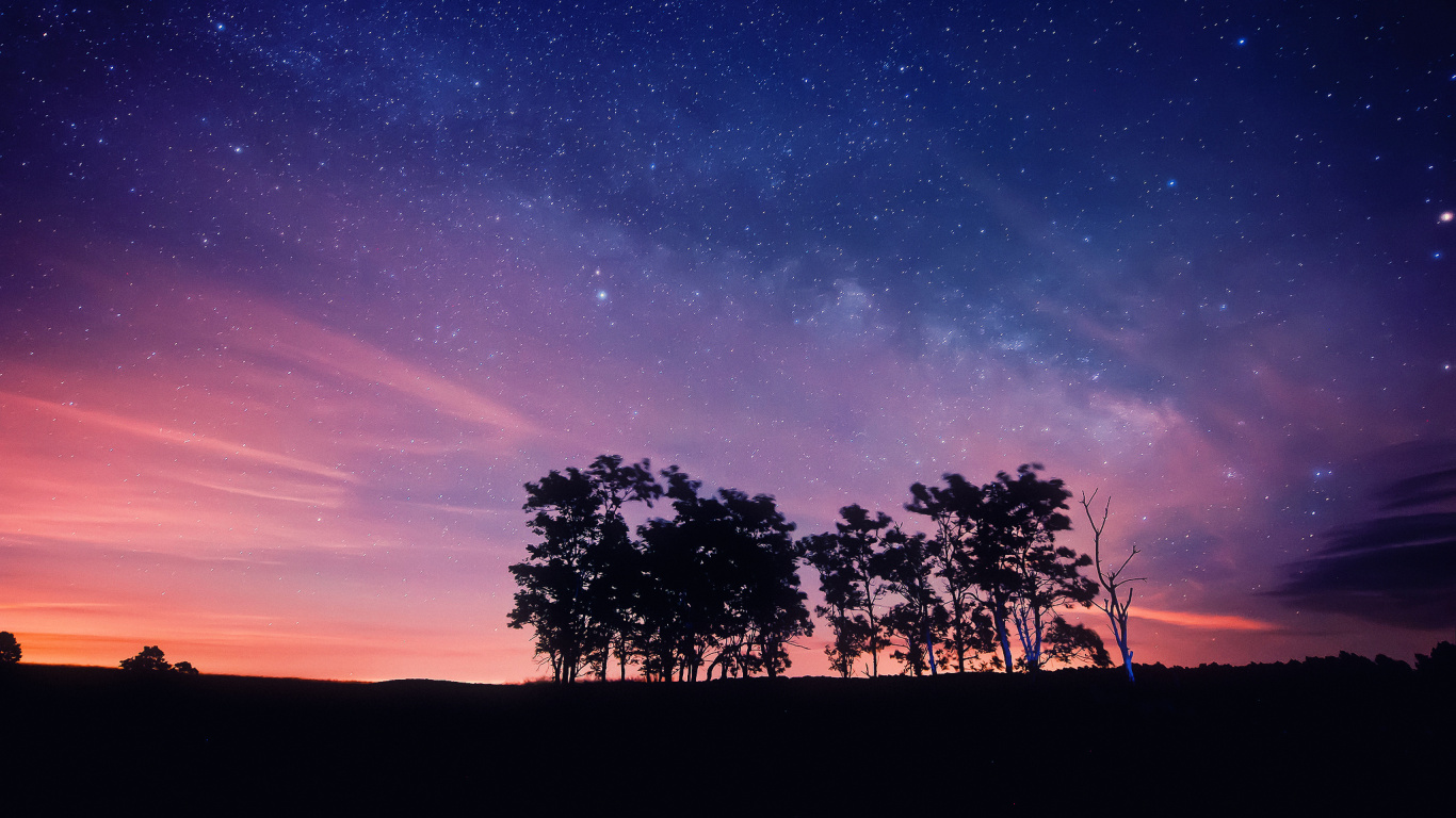 Silhouette of Trees Under Blue Sky During Night Time. Wallpaper in 1366x768 Resolution
